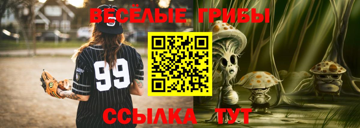 Галлюциногенные грибы мухоморы  Вход с VPN  Десногорск  Псилоцибиновые грибы мицелий 